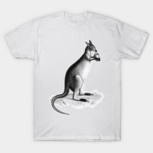 Kangaroo lowland king T-Shirt